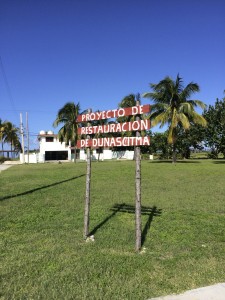 Proyecto de Restauracion de Dunas