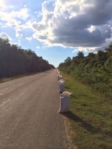 rice bags Cuba